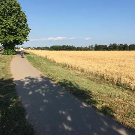 Iva * Novigrad Istria