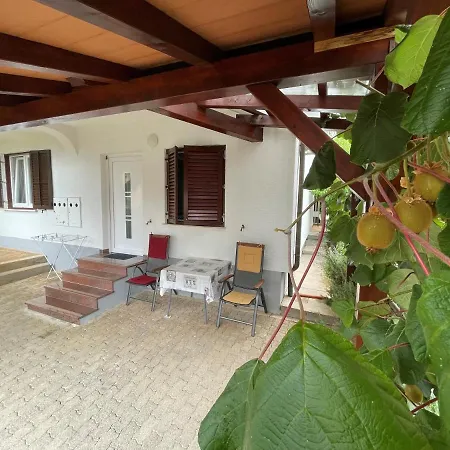 Apartment Iva Novigrad (Istria)