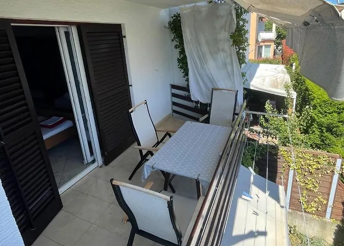 Iva * Novigrad (Istria)